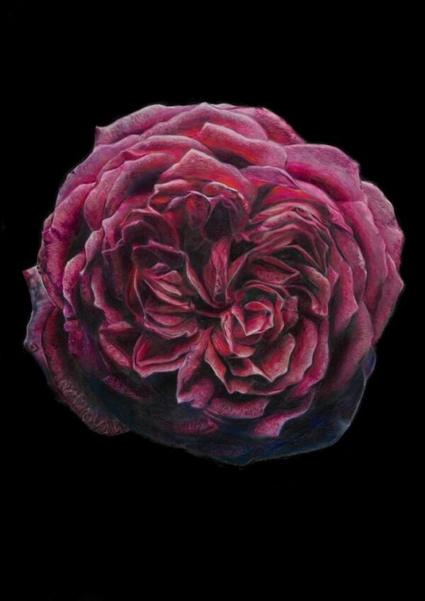 Eclipse in Bloom